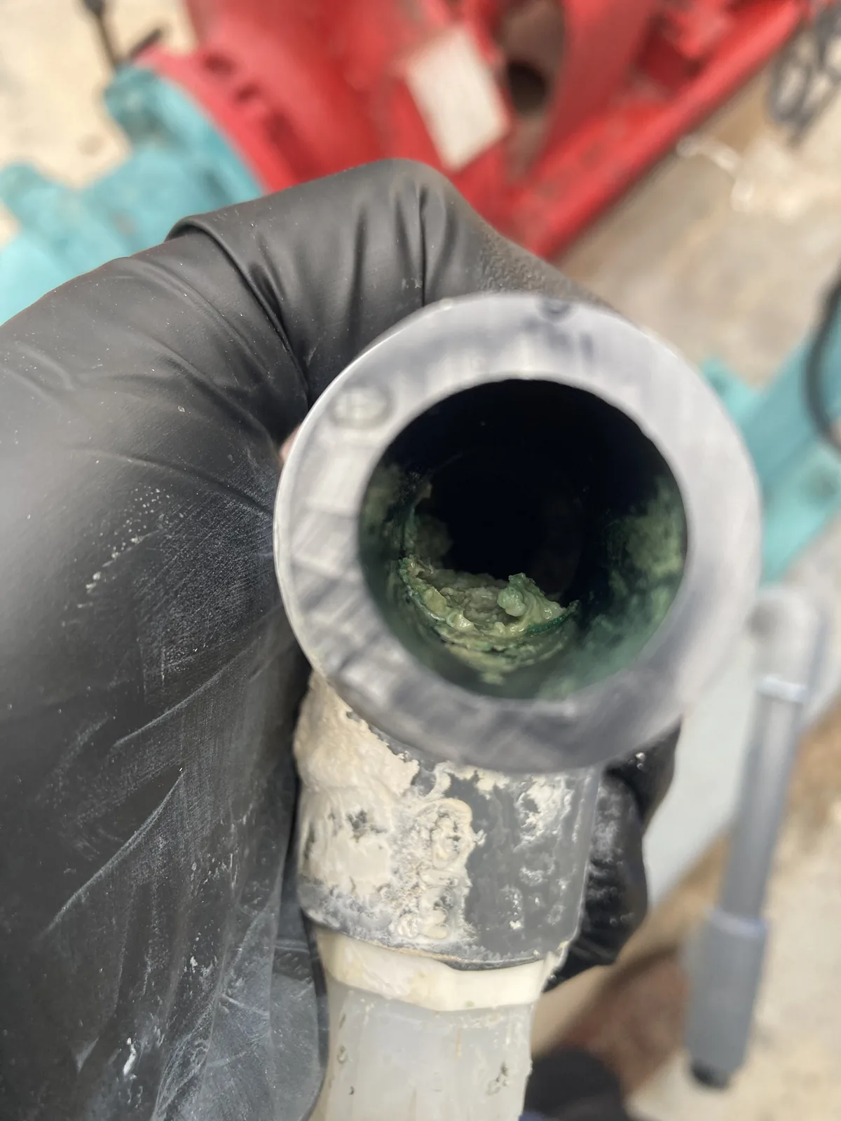 Inside of a PVC pipe fitting lined with thick green slime